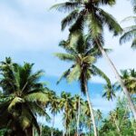 peaks to deep seychelles