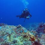 peaks to deep seychelles