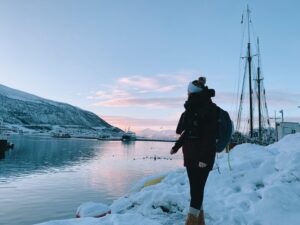 peaks to deep norvegia fiordi tromso