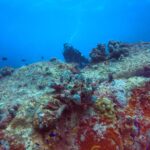 peaks to deep seychelles