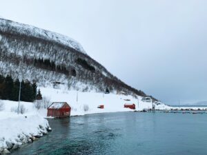 peaks to deep norvegia fiordi tromso
