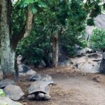 peaks to deep seychelles