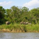 peakstodeep borneo malesia