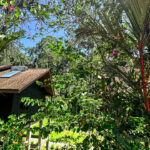 peakstodeep borneo malesia