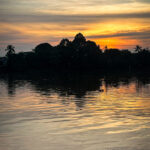 peakstodeep borneo malesia