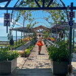 peakstodeep borneo malesia