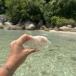 peakstodeep perhentian malesia