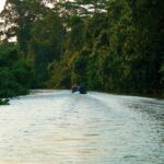 peakstodeep borneo malesia