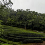 taiwan peakstodeep
